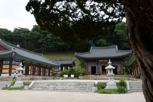 [휴-경북 영천]30m 장쾌한 3단 폭포...끈적한 무더위가 싸악~