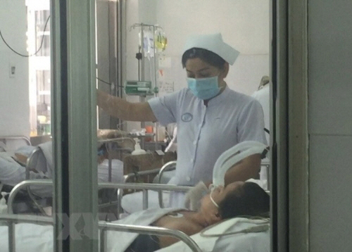 남부 베트남에서 돼지독감(A/H1N1)이 발생해 지금까지 5명이 목숨을 잃었다./연합뉴스