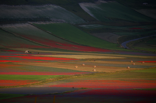 [사진으로 보는 세계] 꽃으로 물든 지상낙원 이탈리아