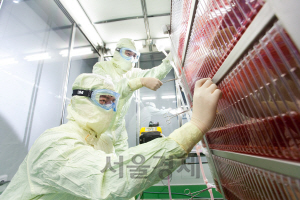 SK바이오사이언스 연구원이 안동L하우스에서 대상포진백신의 세포를 배양하기 위한 공정을 진행하고 있다./사진제공=SK바이오사이언스