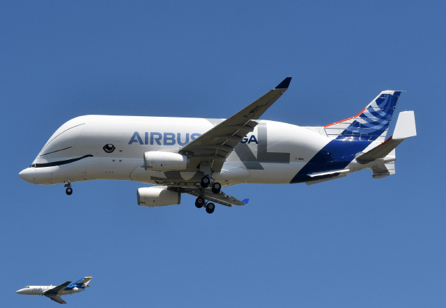 에어버스의 초대형 수송기 ‘A330-743L 벨루가 XL’ 이 19일(현지시간) 4시간 동안의 시험비행을 무사히 마치고 프랑스 남부 툴루즈의 비행장으로 돌아오고 있다. /AFP연합뉴스