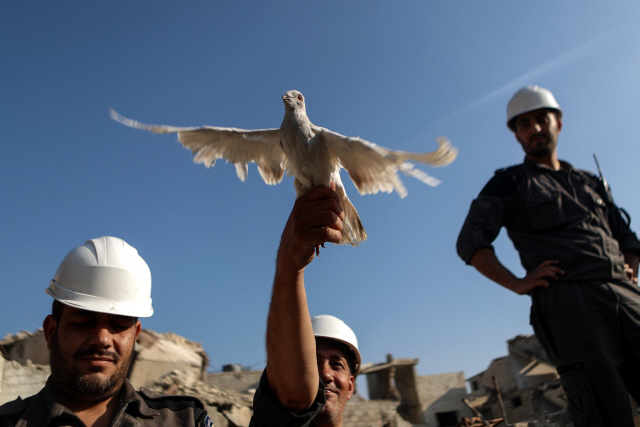 시리아정부軍에 쫓긴 ‘하얀헬멧’ 극적 탈출··“이스라엘이 구출”