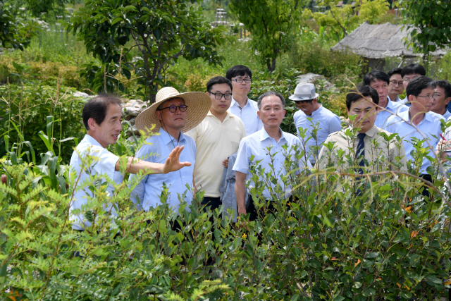 김재현(사진 왼쪽에서 두번째) 산림청장이 산림텃밭 확대 보급 현장토론회 참석한 뒤 산림약용자원연구소 산림텃밭을 둘러보고 있다. 사진제공=산림청