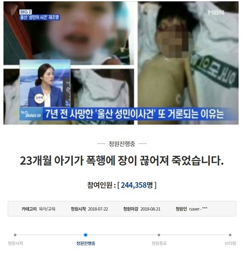 사진=청와대 국민청원 게시판, MBN