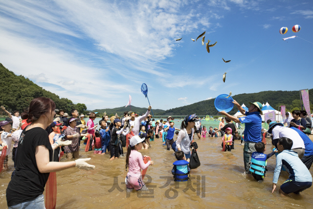 지난해 경남 합천군의 바캉스 축제를 찾은 여행객들이 ‘은어 잡기’를 하고 있다. /사진제공=합천군
