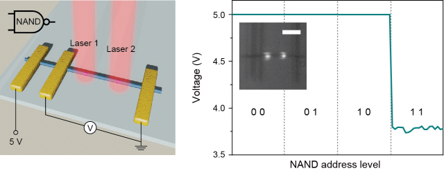 두 개의 다공성실리콘(PSi)에 각각의 레이저를 조사해 구현한 나노 논리 회로와 논리 회로가 형성된 값. 하나의 실리콘 나노선에 두 개의 PSi를 갖는 트랜지스터를 제작해 새로운 논리 회로를 구현할 수 있다. 논리 회로는 컴퓨터의 기초가 되는 소자라 빛으로 빠르게 계산이 가능한 컴퓨터 개발이 가능하다. /사진제공=박홍규 교수