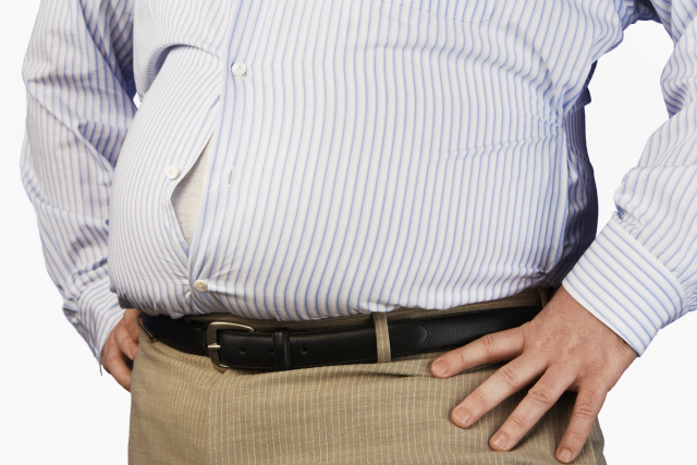 우리나라 성인 남성의 비만율이 42.3%에 달하는 것으로 밝혀졌다./이미지투데이