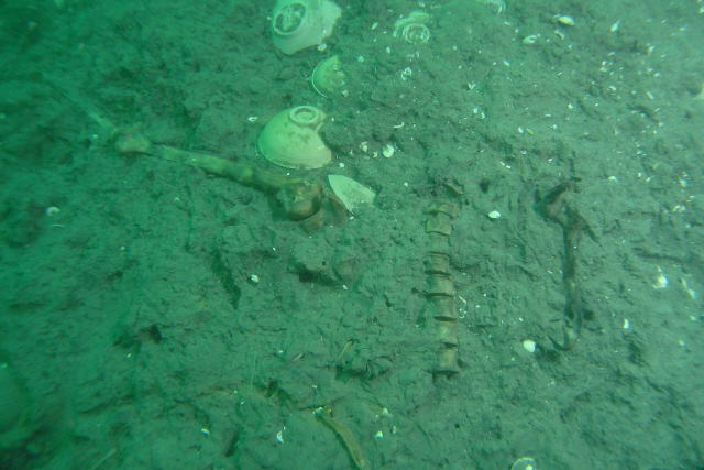 충남 태안 대섬 앞바다에서 발견된 ‘태안선’에서 나온 인골 발견 당시 모습. /사진제공=국립해양문화재연구소