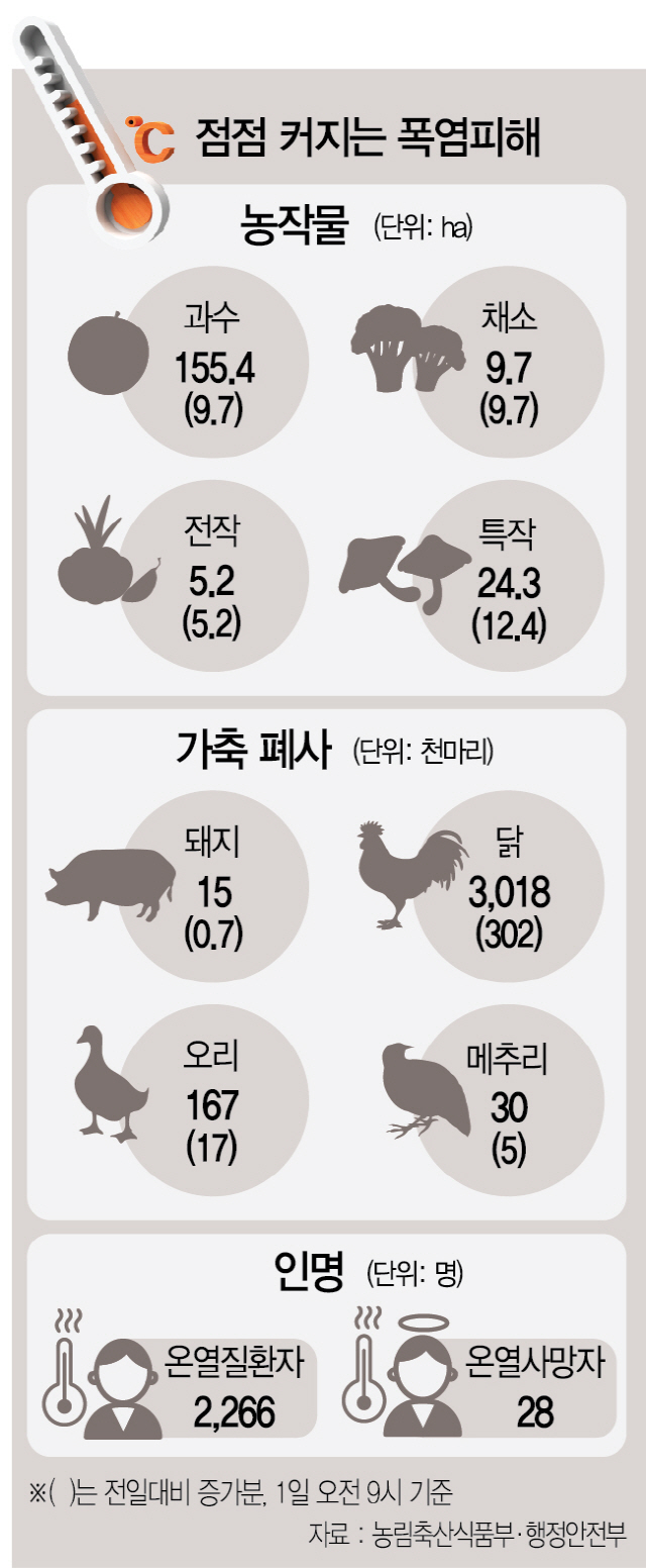 [폭염 피해 속출] 화상병 걸린 사과·쓰러지는 가축...'일주일 더가면 재앙 수준'