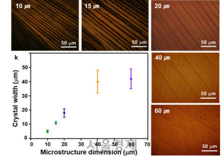 무기고분자 기반 마이크로 구조물을 이용한 용액 전단 과정에서 사각형 형태 구조물의 크기를 늘려 유기반도체 결정 크기를 키웠다. /제공=KAIST