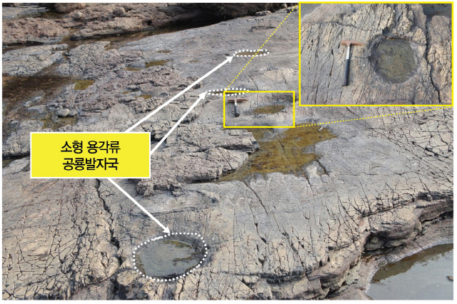 미국 서부 그랜드캐니언의 절벽을 축소한 듯한 전북 부안 채석강의 봉화봉 아래쪽에는 3개의 퇴적층에 걸쳐 57개의 공룡 발자국 화석을 볼 수 있다. 공룡들이 서로 다른 시기에 호수를 오가거나 호수를 따라 거닐 때 형성된 것으로 보인다.  /사진제공=전라북도지질공원