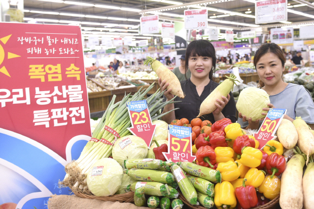 농협 하나로마트 양재점에서 우리 농산물 특판전을 하고 있다. /연합뉴스