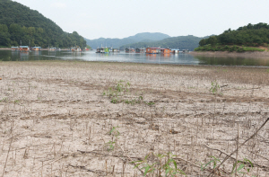 폭염과 가뭄의 영향으로 15일 충북 진천군 초평저수지 곳곳이 바닥을 드러내고 있다. 초평저수지의 저수율은 지난 14일 53.7%로 떨어져 평년 저수율(82.8%)의 64.8%에 불과했다./청주=연합뉴스