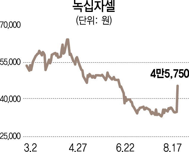 녹십자셀, FDA 희귀의약품 지정에 상한가