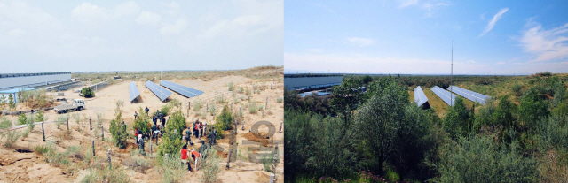 국 닝샤지역 사막에 한화 태양의 숲을 조성하기 전(왼쪽)과 조성 후의 모습. /사진제공=한화그룹