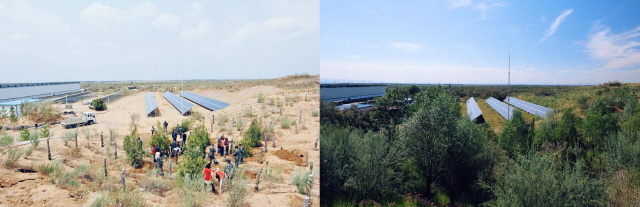 중국 닝샤 지역 사막에 한화 태양의 숲을 조성하기 전(왼쪽 사진)과 후(오른쪽 사진). /사진제공=한화그룹