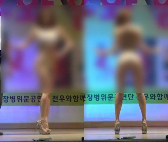 육군 비키니 위문공연 논란에 청와대 국민청원 등장 '여성 성 상품화'