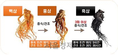 흑삼 제조 과정. /출처=한국식품연구원