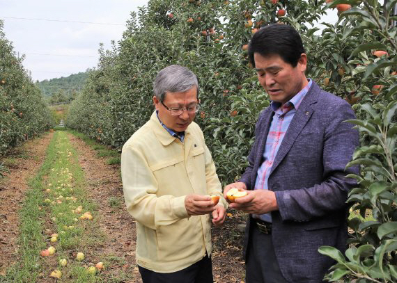 오병관(왼쪽) NH농협손해보험 대표가 지난 25일 전북 장수군의 사과 농가를 방문해 태풍피해 현장을 점검하고 농가를 위로하고 있다./사진제공=농협손보