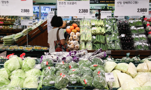 지난달 21일 오후 서울의 한 마트 야채 코너에서 한 시민이 야채를 고르고 있다. /연합뉴스