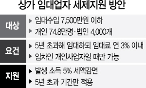 상가임대차보호법 반발에..또 세금으로 땜질