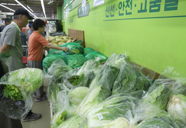 폭염과 폭우 등 기상악화로 채소 가격이 급등하는 가운데 4일 서울 시내의 한 마트에서 고객들이 배추와 무를 고르고 있다.  /연합뉴스