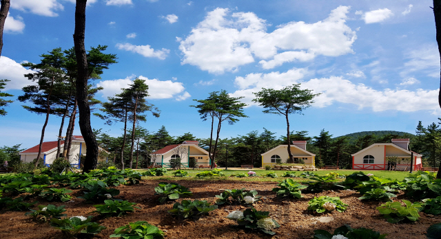 부산시 기장군에 조성돼 11일 개장식을 가질 국립달음산자연휴양림. 사진제공=산림청