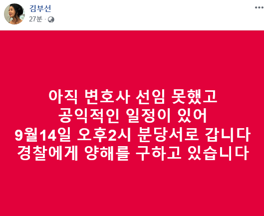 '이재명 스캔들' 김부선 '변호사 선임 아직 NO…오는 14일 경찰 출석'