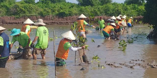 SK이노베이션 노사 자원봉사단과 호찌민기술대 학생 등 100여명이 베트남 짜빈성 롱칸 지역에서 2차 맹그로브 숲 복원사업 자원봉사활동을 하고 있다. /사진제공=SK이노베이션