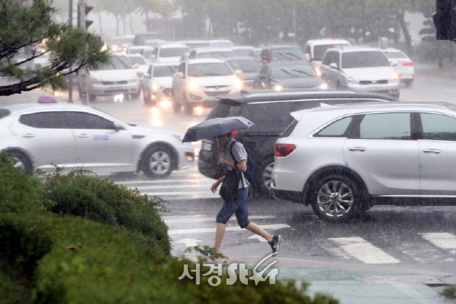 [오늘날씨] ‘전국 흐리고 비’ 이후엔 쌀쌀한 가을바람