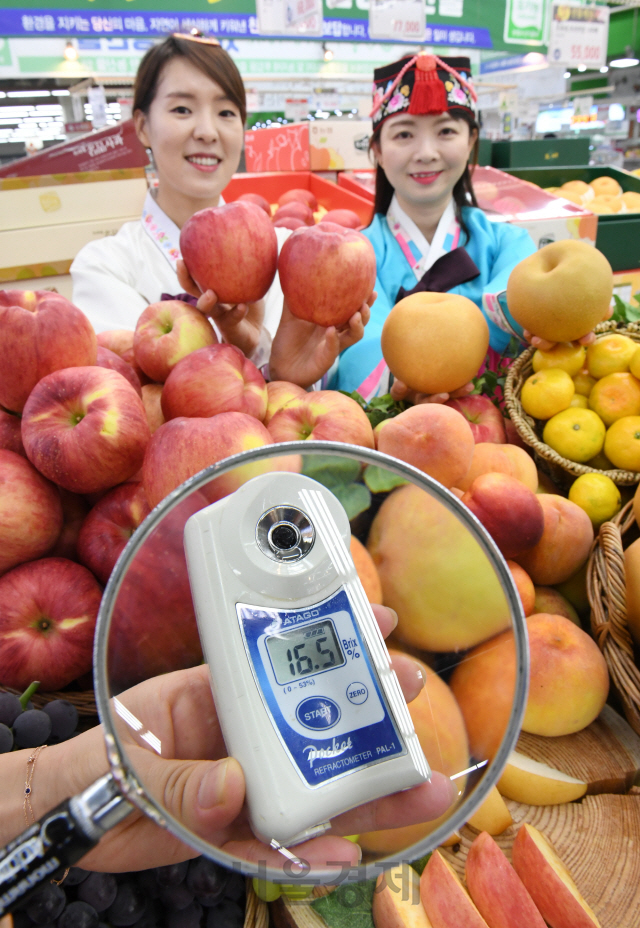 추석을 2주일 앞둔 10일 서울 농협 하나로마트 양재점에서 모델들이 당도가 높은 과일 선물세트를 선보이고 있다. 농협유통은 