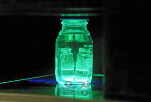 내수성 페로브스카이트가 자외선이 비추자 물속에서도 발광하고 있다. /사진제공=UNIST