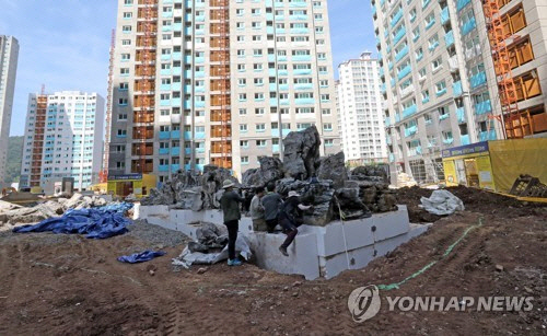 대구 아파트 건설현장서 붉은불개미 여왕개미까지 발견 '비상'