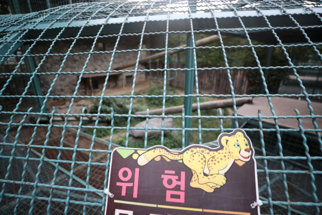 18일 퓨마 1마리가 탈출하면서 대전동물원 퓨마 사육장이 텅 비어있다. /사진=연합뉴스