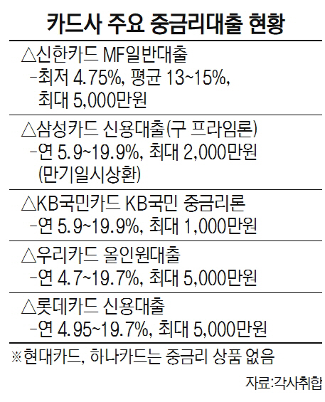 카드사 주요 중금리대출 현황