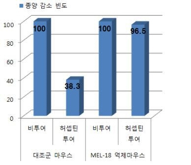 동물실험 결과/과학기술정보통신부 제공=연합뉴스