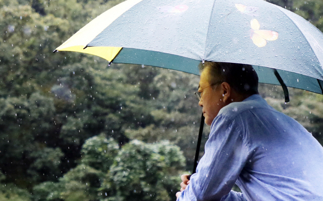 문재인 대통령이 지난 29일 오전 비가 내리는 경남 양산시 자택 뒷산에서 우산을 받쳐들고 깊은 생각에 잠겨 있다.     /사진제공=청와대