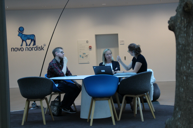 덴마크 바이오제약 업체인 노보노르디스크 직원들이 사무실에서 회의를 하고 있다./코펜하겐=강동효기자