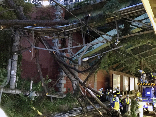 태풍 ‘짜미’가 강타한 1일 일본 도쿄의 한 기차역에서 작업자들이 철도 위로 쓰러진 나무를 치우고 있다.  /도쿄=EPA연합뉴스