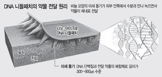 0416A16 DNA 니들패치의 약물 전달 원리(16판)