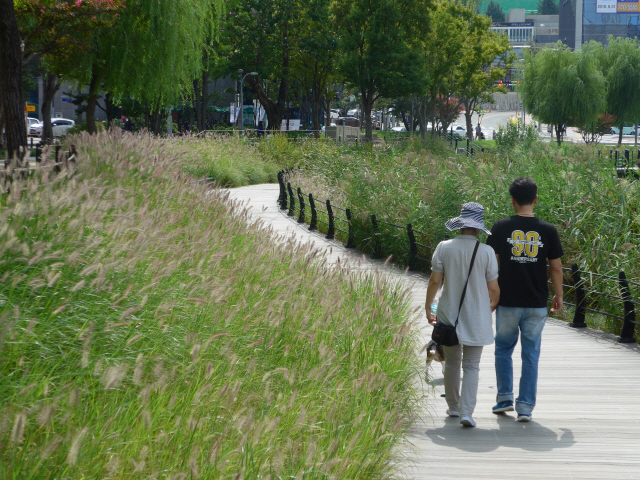 [休] 가을이 내려앉은 골목길...歌客의 노래, 秋心을 흔드네