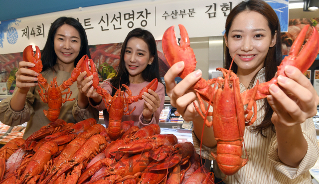 롯데마트 홍보도우미들이 4일 서울 중구 봉래동 롯데마트 서울역점 수산매장에서 캐나다산 자숙 랍스터(바닷가재)를 소개하고 있다. 
    롯데마트는 오는 10일까지 전국 매장에서 '랍스터 페스티벌'을 통해 자숙 랍스터를 1마리(450g 내외) 9천800원에 판매한다. /이호재기자.