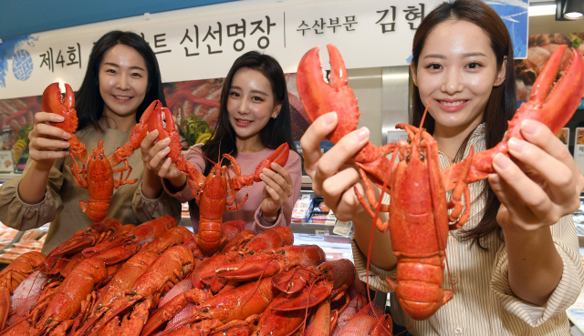 .롯데마트 홍보도우미들이 4일 서울 봉래동 롯데마트 서울역점에서 캐나다산 자숙 랍스터(바닷가재)를 소개하고 있다. 롯데마트는 오는 10일까지 전국 매장에서 ‘랍스터 페스티벌’을 통해 자숙 랍스터를 1마리(450g 내외) 9,800원에 판매한다. /이호재기자