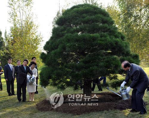 고(姑)노무현 전 대통령이 지난 2007년 10월 방북해 평양 중앙식물원에 소나무를 심고 있다./연합뉴스