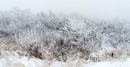 내일 강원 산간 고지대에 1∼3㎝ '첫눈' 예보…성큼 다가온 겨울