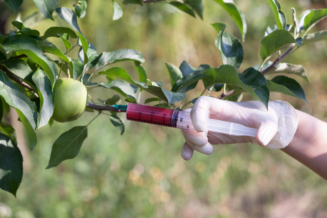 'GMO 안전성 누구도 장담 못해…GMO 완전표시제 도입해야'