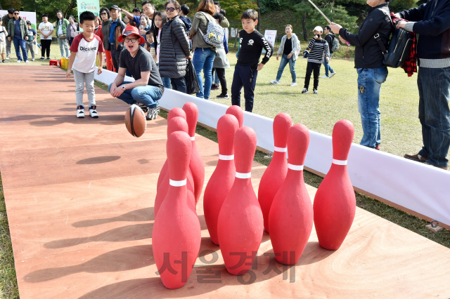 문경사과축제장을 찾은 관람객들이 볼링핀을 겨냥해 사과를 굴리고 있다.