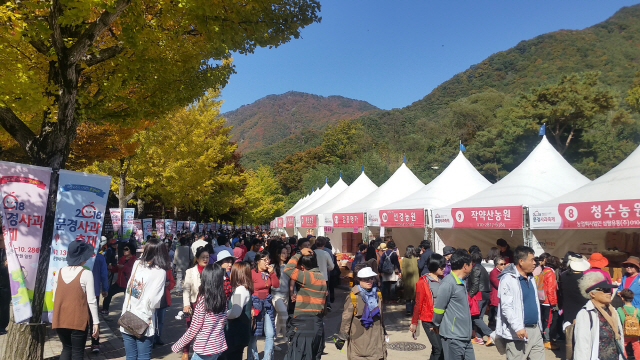 문경사과축제가 열리는 문경새재 축제장 입구가 관람객들로 북적이고 있다.