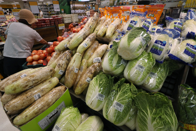 채소 가격이 지난 19일 한 주 전보다 12.4% 내린 것으로 나타났다./연합뉴스