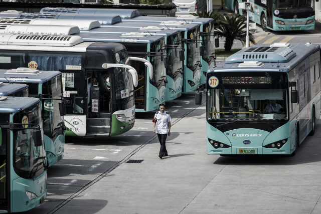 중국 최대 전기차 회사 BYD가 제조한 전기 버스가 중국 선전에 자리한 한 차고지에 열맞춰 주차 돼 있다. /블룸버그